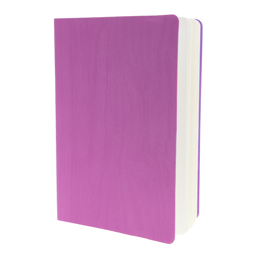 Purple Notebook NB331719PP